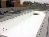 Commercial Vinyl Replacement